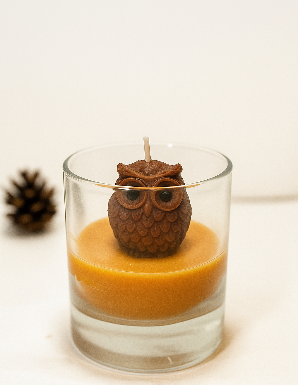 Eulen-Kerze im Glas – Handgemachtes Geschenk für Naturfreunde & Herbstliebhaber Kandlewax Studio